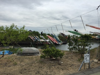 2015-04-29 12.06.01.jpg