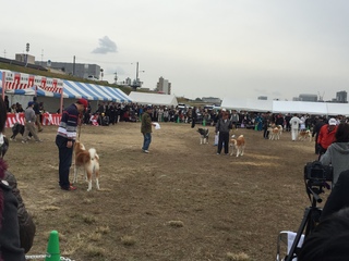 2015-12-06 14.18.14.jpg